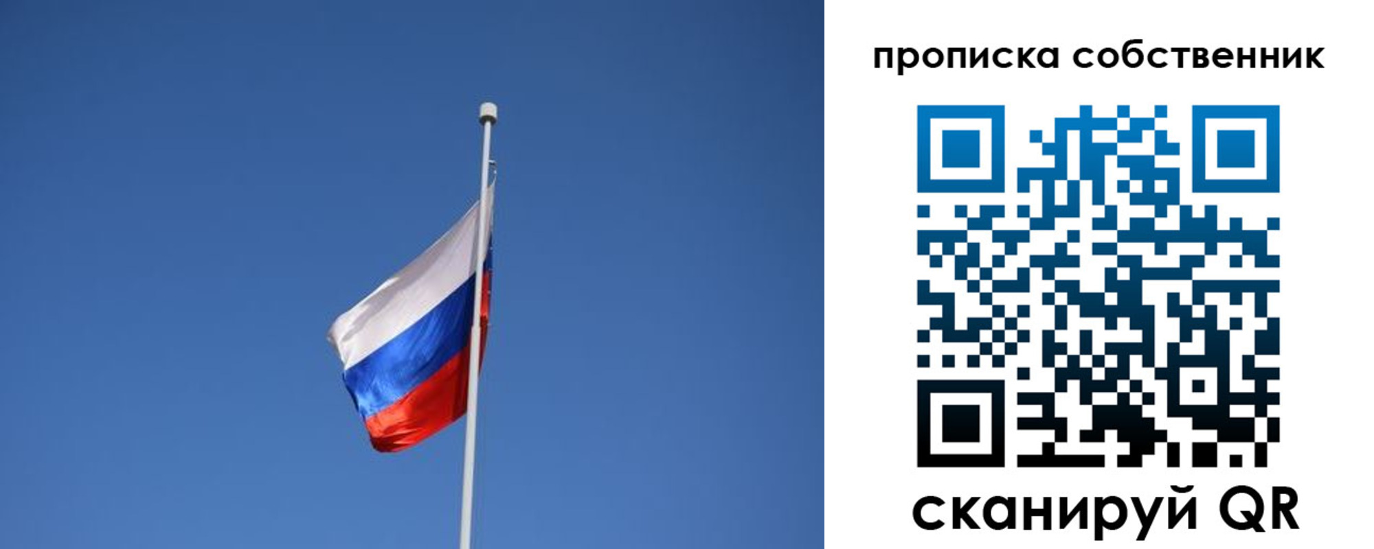временная регистрация для всех в Зее